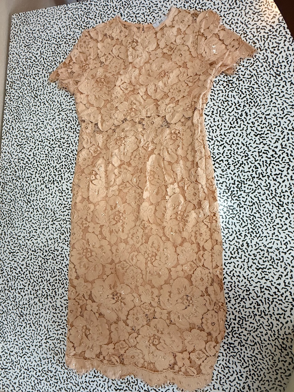 NSR Blush Floral Lace Midi Dress